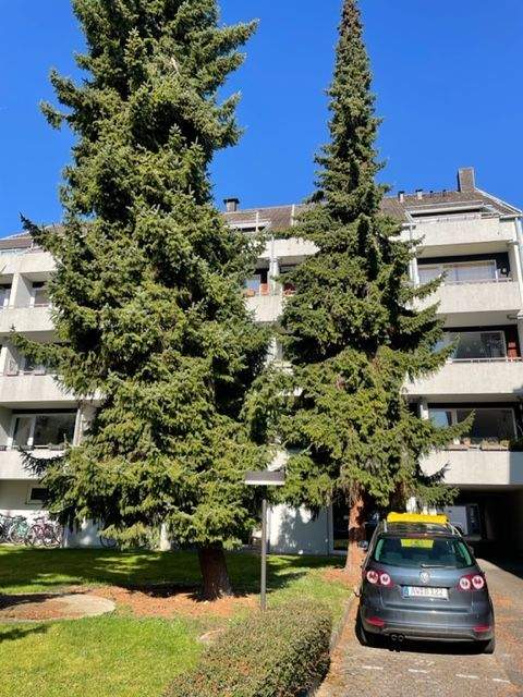 Bonn Wohnungen, Bonn Wohnung kaufen