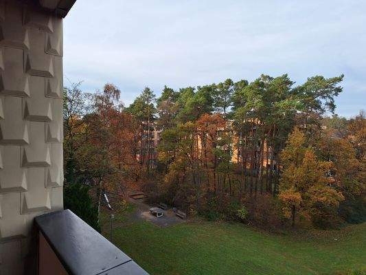 Aussicht auf Herbstwald