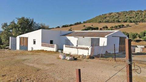 Vejer de la Frontera Häuser, Vejer de la Frontera Haus kaufen