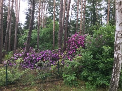 Lindwedel Grundstücke, Lindwedel Grundstück kaufen