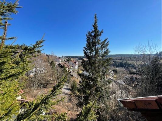 Blick vom Balkon