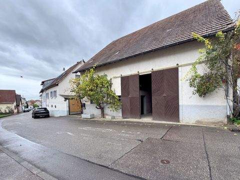 Ihringen Häuser, Ihringen Haus kaufen