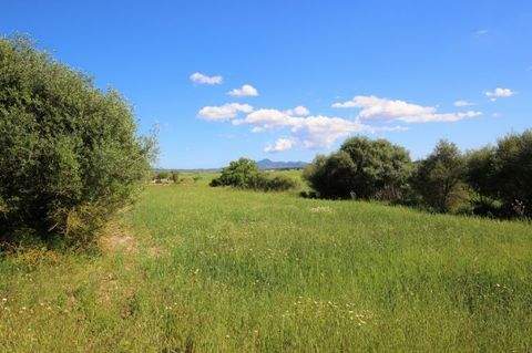 Vilafranca de Bonany Häuser, Vilafranca de Bonany Haus kaufen