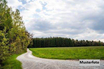 Leutasch Bauernhöfe, Landwirtschaft, Leutasch Forstwirtschaft