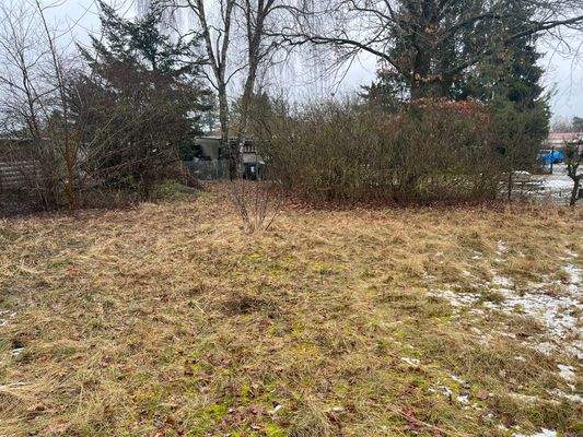 Grundstück hinten.jpeg