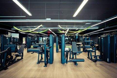 Wilhelmsburg Halle, Wilhelmsburg Hallenfläche