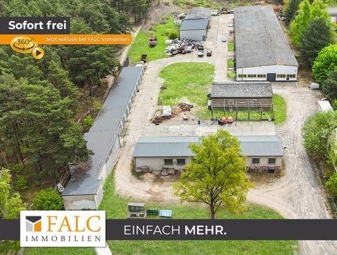 Storkow (Mark) Halle, Storkow (Mark) Hallenfläche