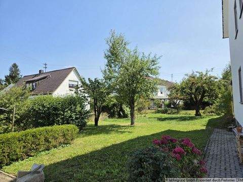 Inningen Häuser, Inningen Haus kaufen