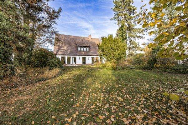 Eingewachsener Garten mit altem Baumbestand und hoher Privatsphäre