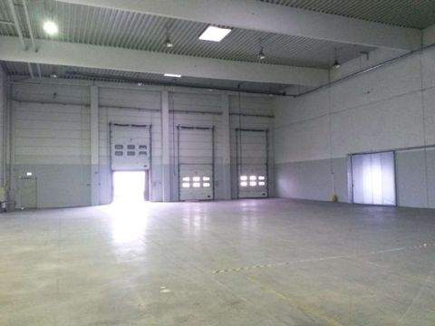 Ginsheim Halle, Ginsheim Hallenfläche