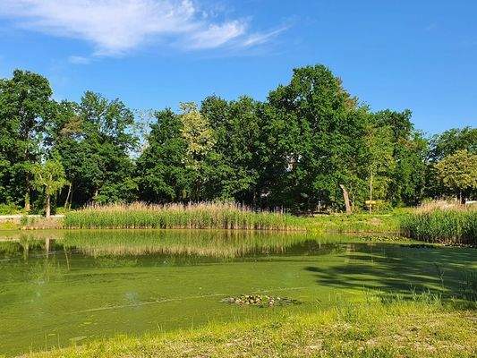 Buschgraben ZEHLENDORF