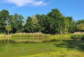 Buschgraben ZEHLENDORF