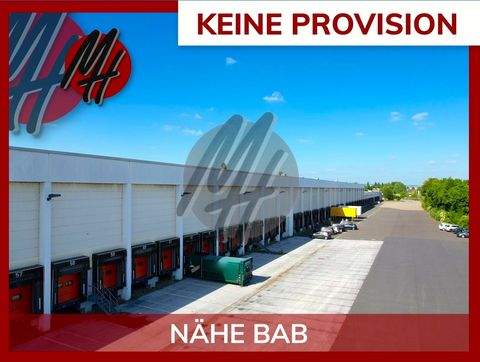 Mainz Halle, Mainz Hallenfläche