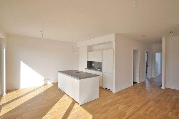 große offene Küche