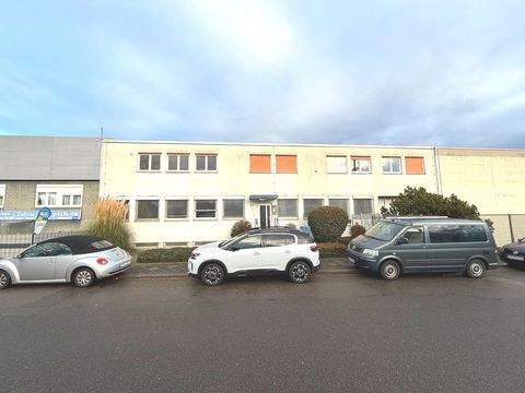 Mannheim / Käfertal Halle, Mannheim / Käfertal Hallenfläche