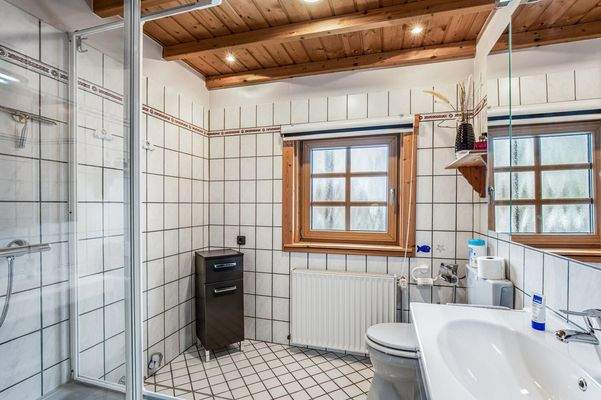 Einliegerwohnung: Duschbad