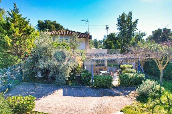 5af6671174794fc3b2a6b1428edf741f-original