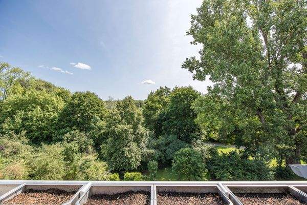 Blick in die Pegnitzauen