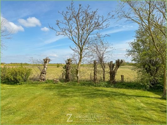 Blick  zur Weide und in die Ferne