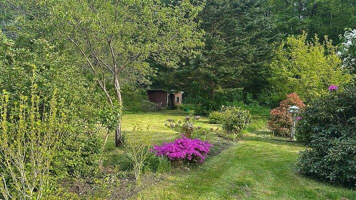 Impressionen Garten 4