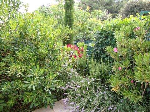 Stari Grad Wohnungen, Stari Grad Wohnung kaufen