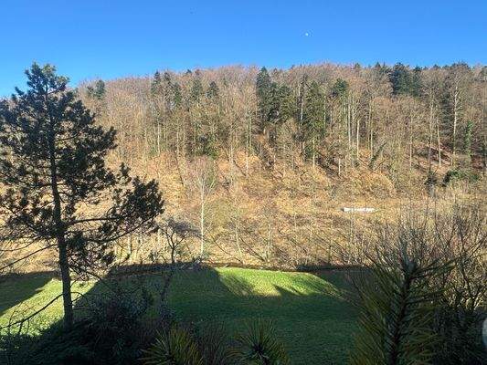 Aussicht auf den Gaisbach