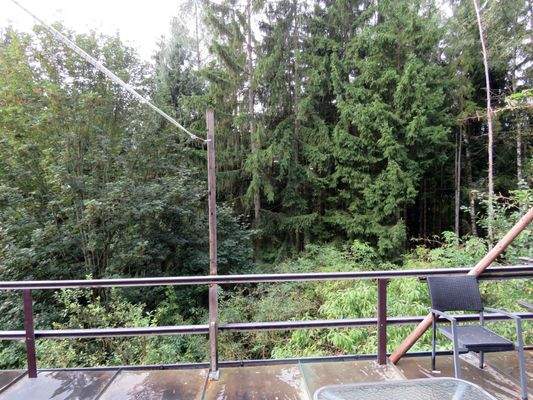 Blick von der Westterrasse in den Wald 