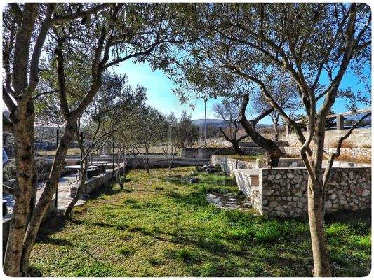 Eine mediterrane Bepflanzung ziert den Garten