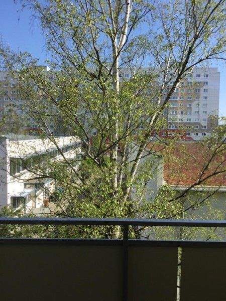 Dresden Wohnungen, Dresden Wohnung mieten