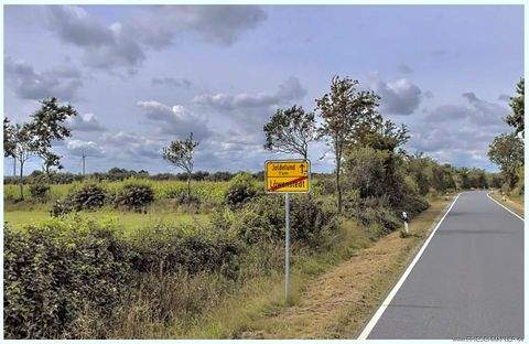 Löwenstedt Bauernhöfe, Landwirtschaft, Löwenstedt Forstwirtschaft