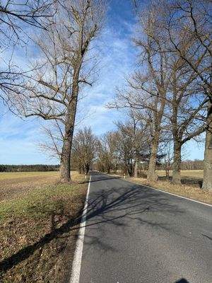 Straße Richtung Bindow