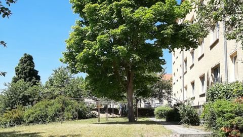 Sangerhausen Wohnungen, Sangerhausen Wohnung mieten