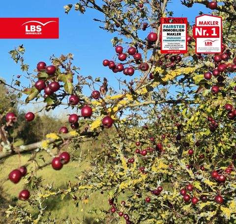 Berlin Grundstücke, Berlin Grundstück kaufen