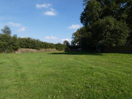 Optionale Pferdewiese