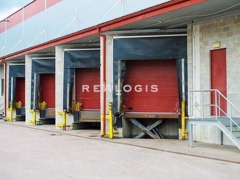 Würzburg Halle, Würzburg Hallenfläche