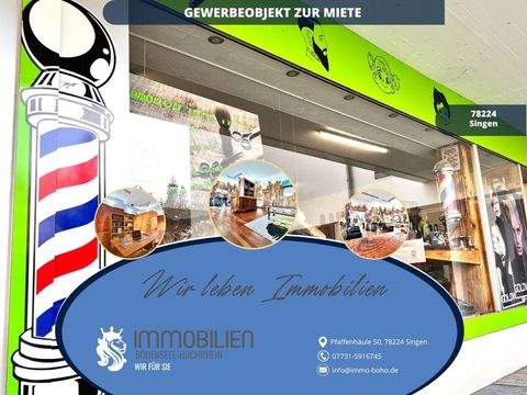 Singen Büros, Büroräume, Büroflächen 