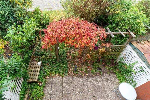 Blick auf die Terrasse