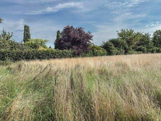 schöne und ruhige Feldrandlage