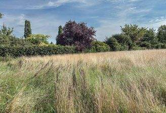 schöne und ruhige Feldrandlage