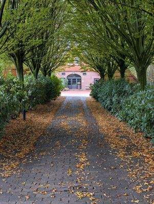 Eingangsallee - Kopie.jpg