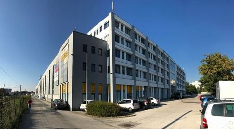 Wiener Neudorf Halle, Wiener Neudorf Hallenfläche