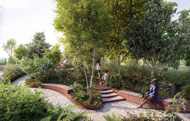 Dachwald mit Ausblick.jpeg