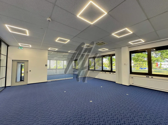 INFOS UNTER: 06171-586000