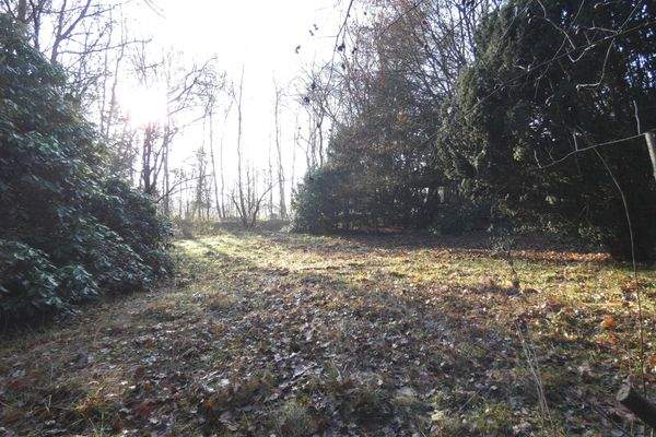 Blick in Richtung Süden