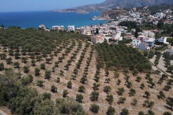 Kreta, Kalyves: Weitläufiges Grundstück mit Meerblick zu verkaufen