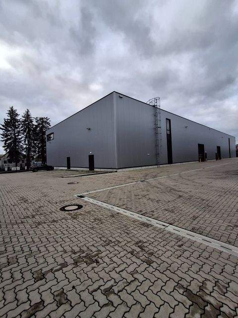 Langenhagen Halle, Langenhagen Hallenfläche