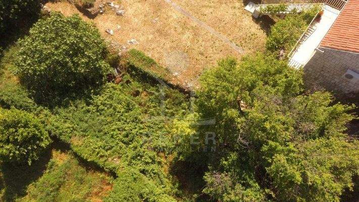 Erschaffen Sie eine grüne Oase der Erholung