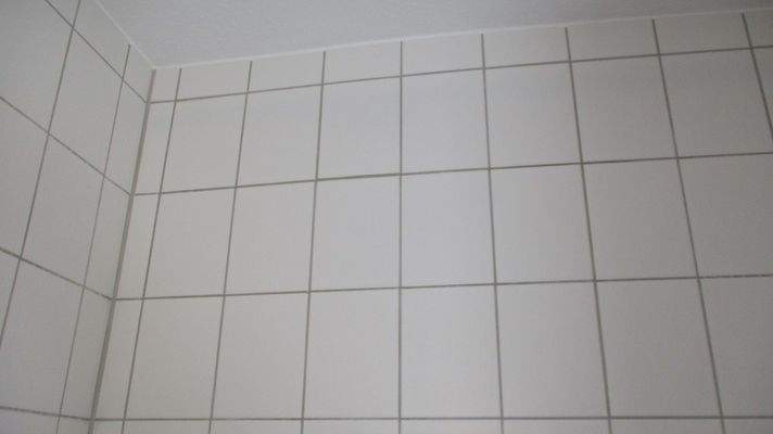 Tageslichtbad weiße Fliesen