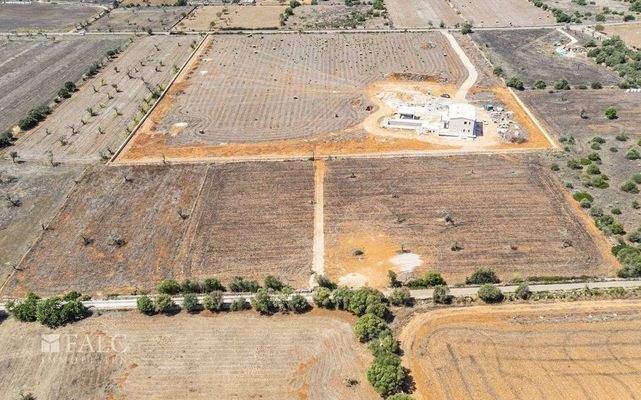 Grundstück-Cala Llombards-17