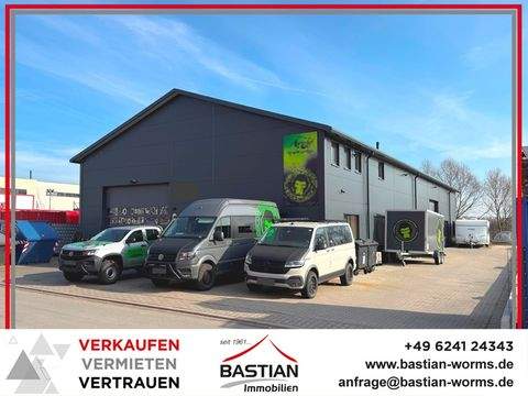 Oppenheim Halle, Oppenheim Hallenfläche